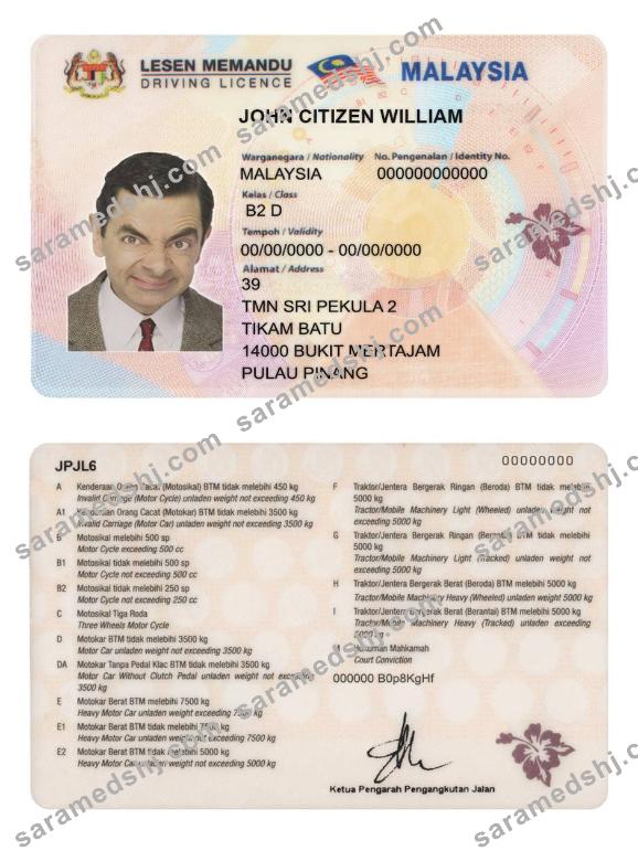 Malaysia driving license